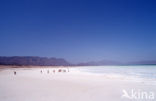 Lake Assal