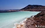 Lake Assal