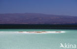 Lake Assal