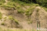 Geologisch monument Heimansgroeve