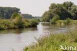 Cross-border park Maas-Swalm-Nette