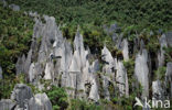 Gunung Mulu National Park