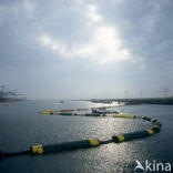 Maasvlakte