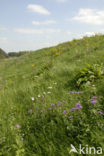 National Park de Biesbosch