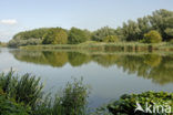 National Park de Biesbosch