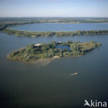 Nationaal Park de Biesbosch