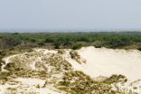 National Park Schiermonnikoog