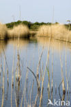 Nationaal park Schiermonnikoog