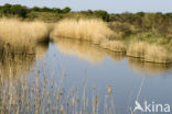 Nationaal park Schiermonnikoog