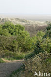 National Park Schiermonnikoog