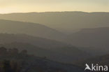 Monfrague National Park