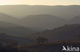 Monfrague National Park