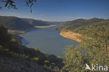 Parque Nacional de Monfrague