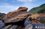 Tsitsikamma National Park