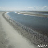 Waddenzee