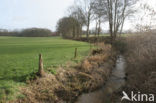 Hazelbekke