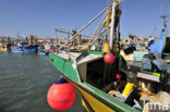 Ile d’ Oleron