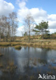 Kroondomein Het Loo