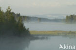Fulufjället National Park