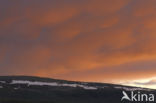 Fulufjället National Park