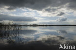 Nationaal Park Weerribben-Wieden