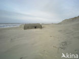 Atlantic Wall