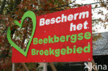 Beekbergerwoud