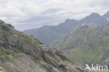 Grossglockner