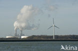 Maasvlakte