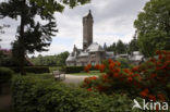 Nationaal Park De Hoge Veluwe