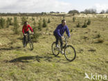 Nationaal Park Drents-Friese Wold