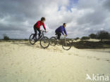 Nationaal Park Drents-Friese Wold