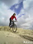 Nationaal Park Drents-Friese Wold