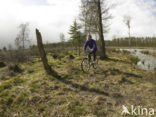 Nationaal Park Drents-Friese Wold