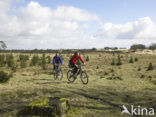 Nationaal Park Drents-Friese Wold