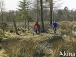 National Park Drents-Friese Wold