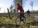 Nationaal Park Drents-Friese Wold