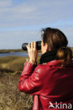 Nationaal Park Duinen van Texel