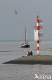 Nationaal Park Lauwersmeer