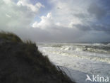 Northsea