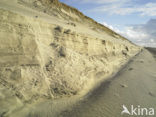 Noordzee