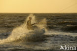 Noordzeestrand