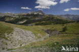 Parc National du Mercantour