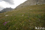 Parc National du Mercantour