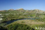 Parc naturel régional de Corse