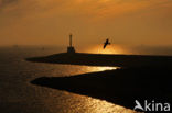 Waddenzee