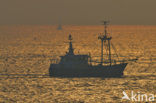 Waddensea
