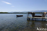 Etang d’Urbino