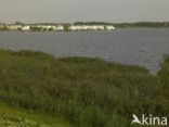 Lelystad