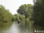 National Park de Biesbosch